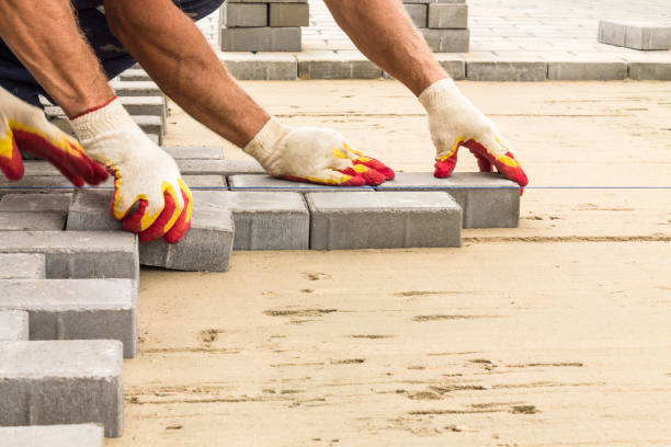 Best Professional Driveway Pavers  in Fish Hawk, FL