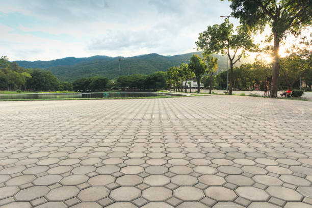 Best Custom Driveway Pavers  in Fish Hawk, FL
