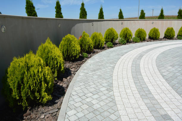 Trusted Fish Hawk, FL Driveway Pavers Experts